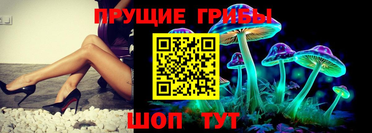 купить наркотики цена  Вход с VPN  Ростов-на-Дону  Псилоцибиновые грибы Cubensis 